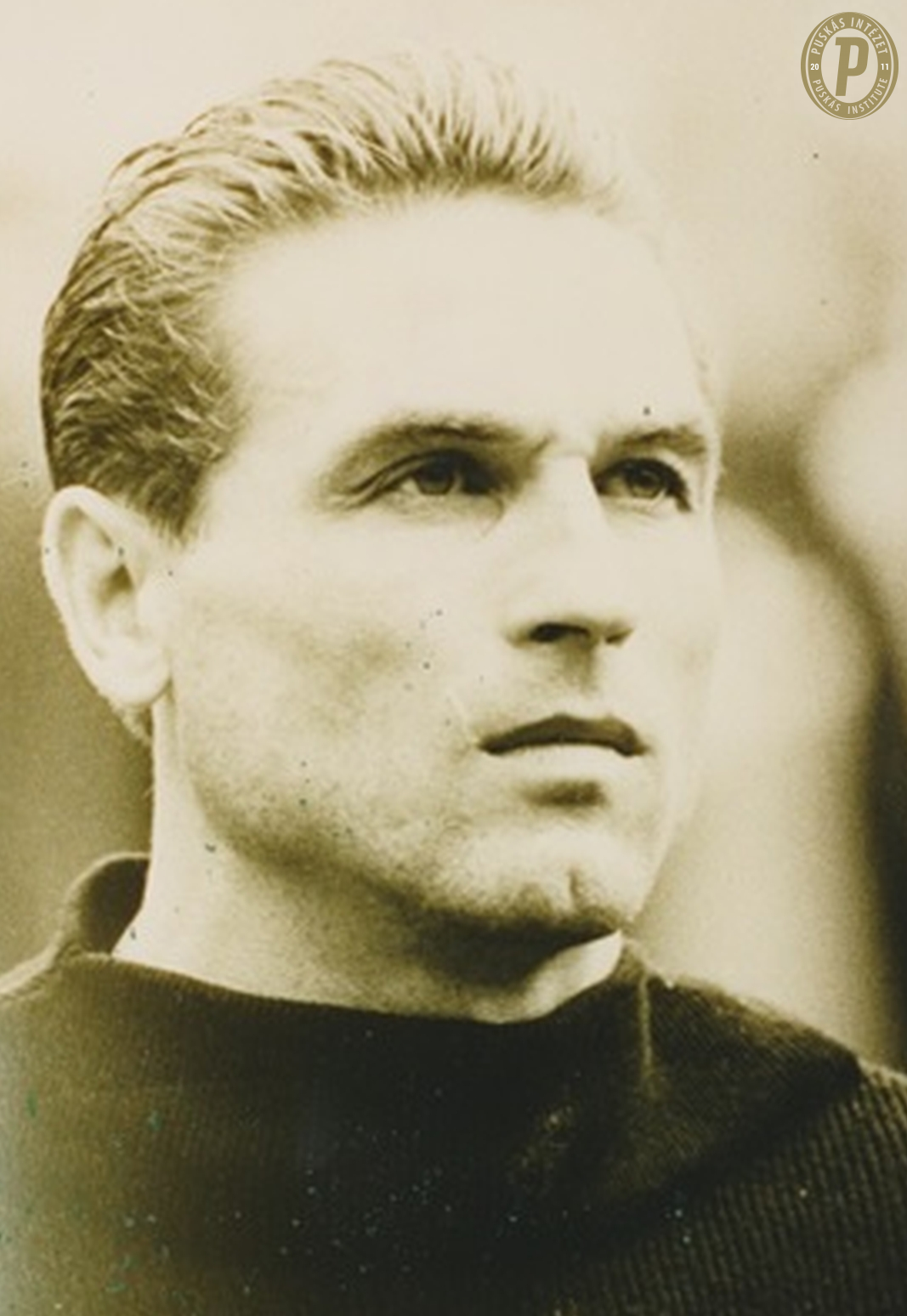 A dorogi Grosics Gyula