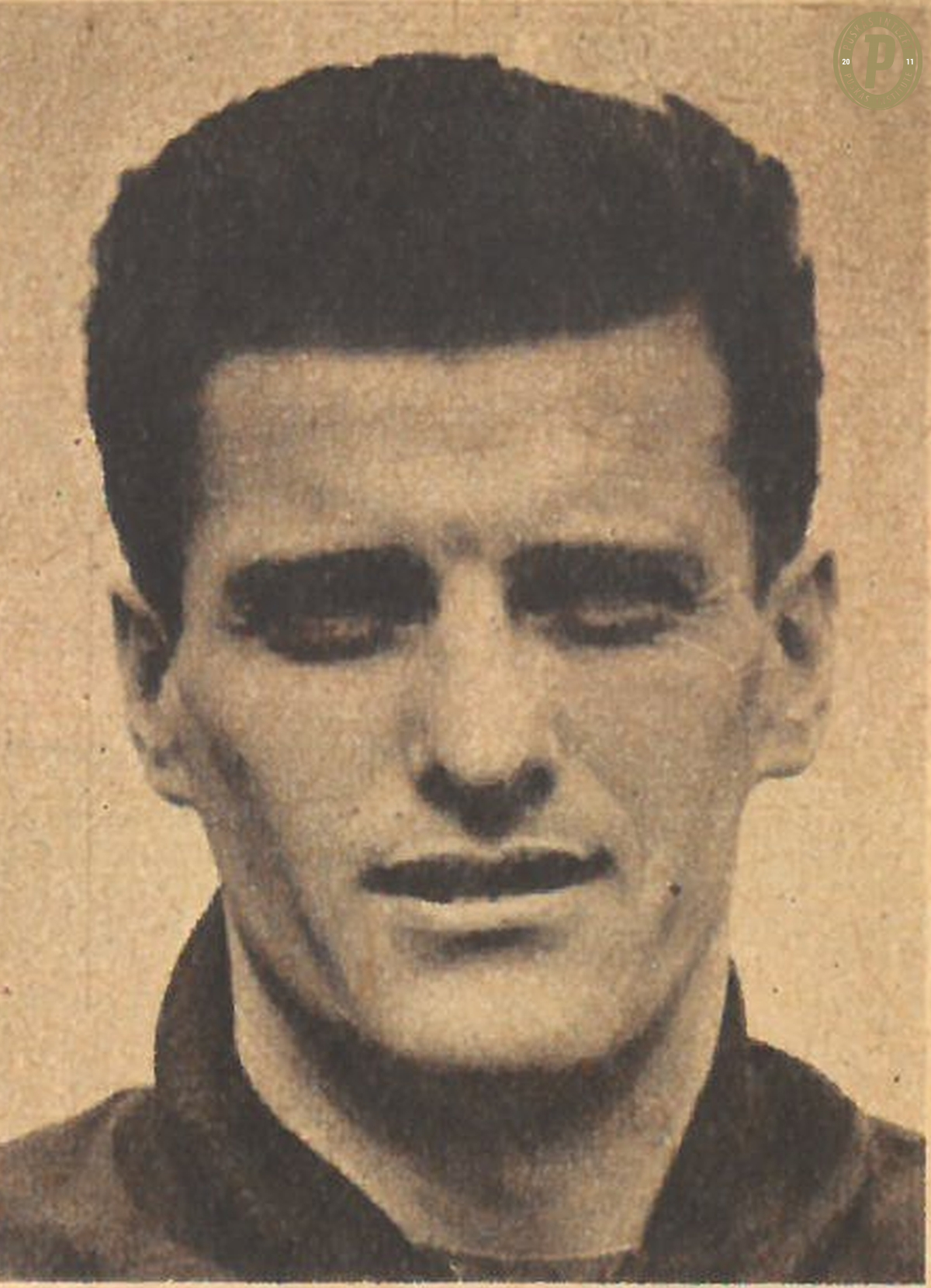 „Tüdő”