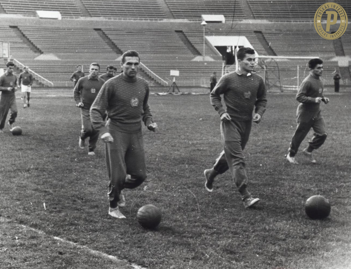 Fekete párduc piros-fehér-zöldben