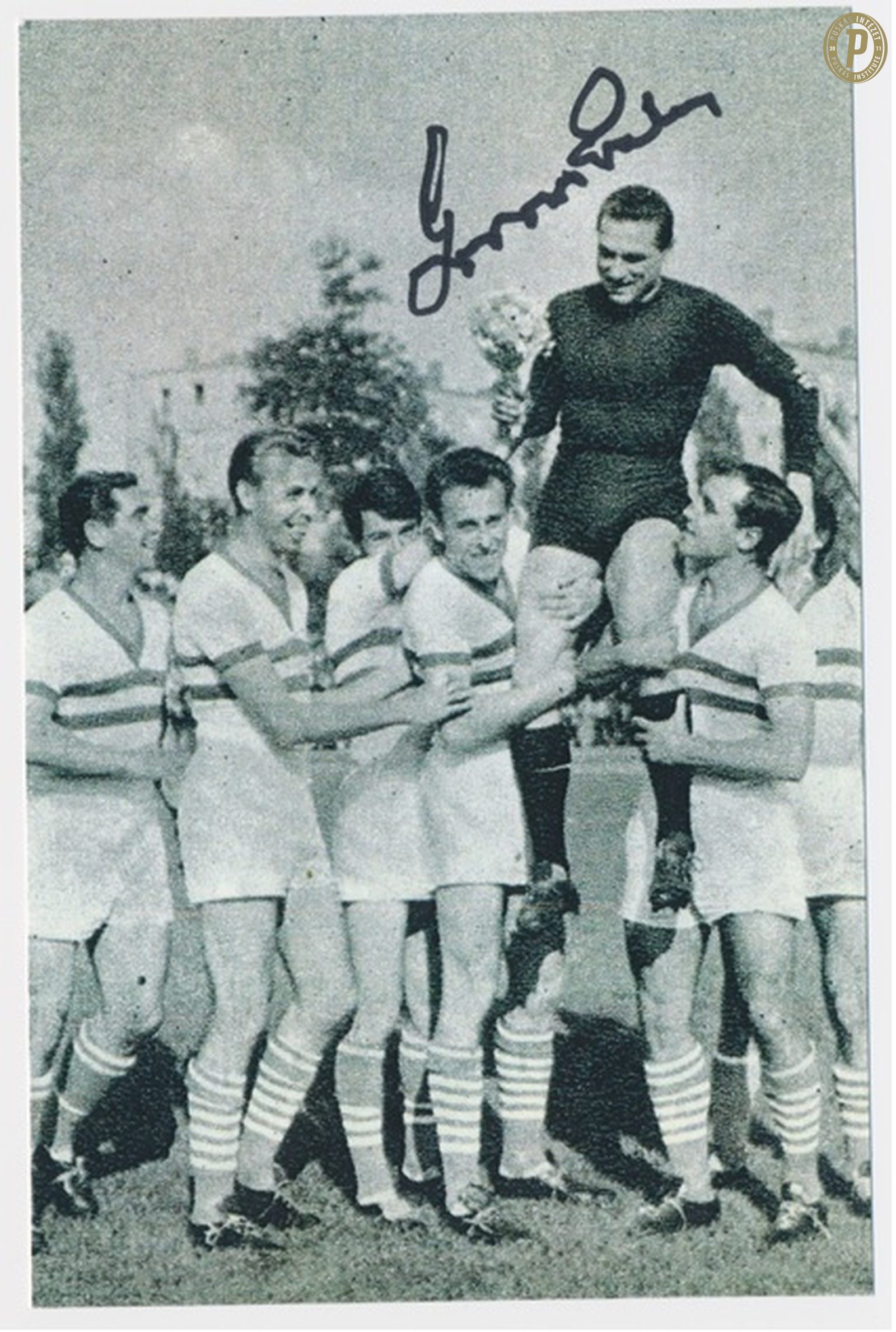 Grosics Gyula Tatabányán